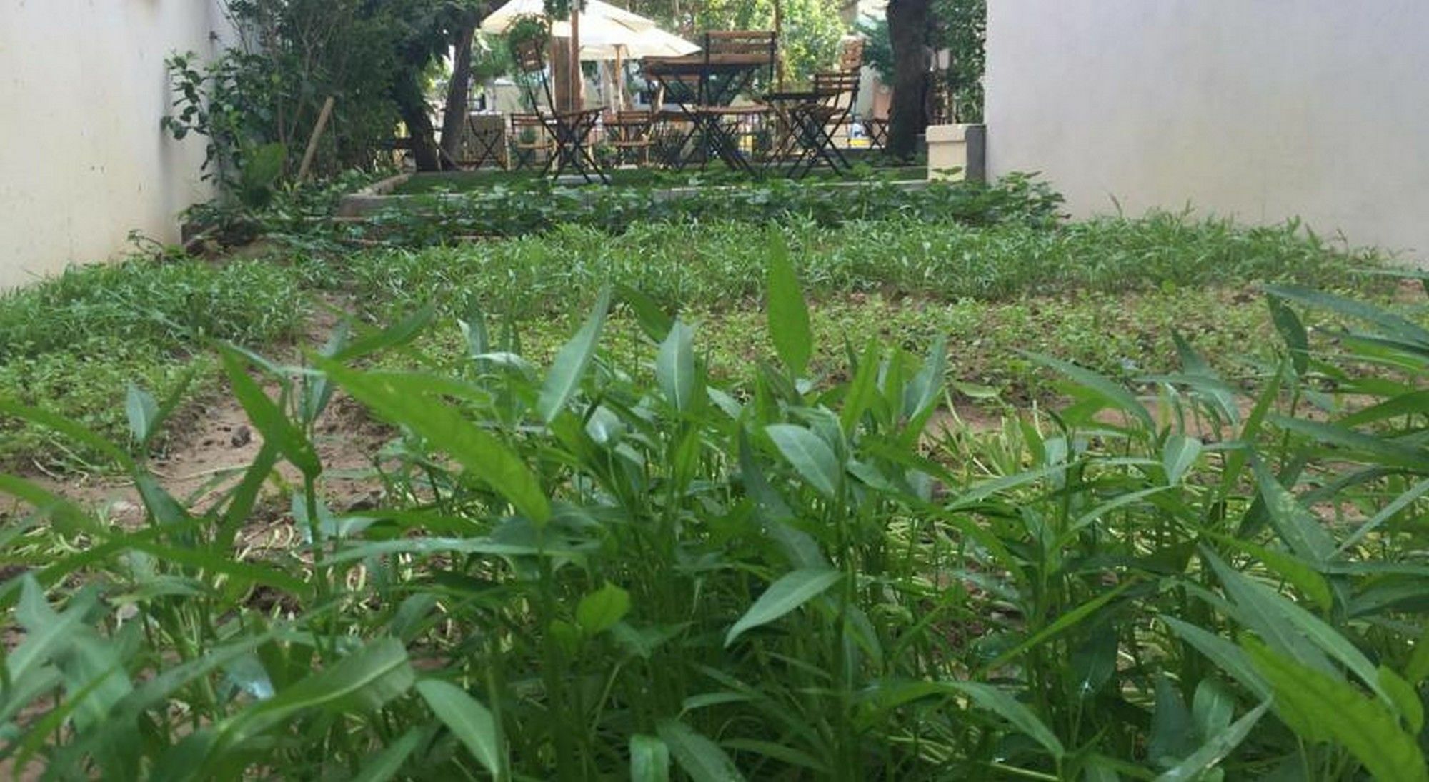 Heritage Homestay Hoi An Esterno foto